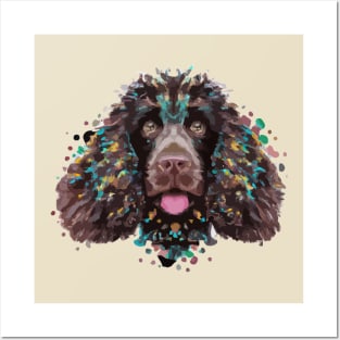 American Water Spaniel Dog Posters and Art